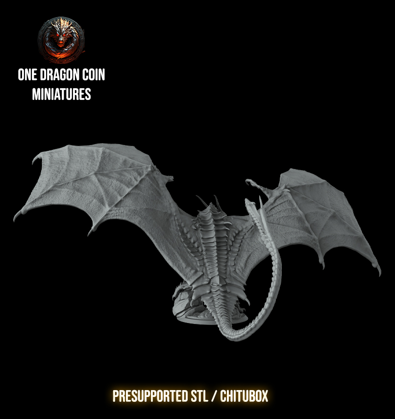 One Dragon Coin - Argoth - DnD/TTRPG Figure/Miniature