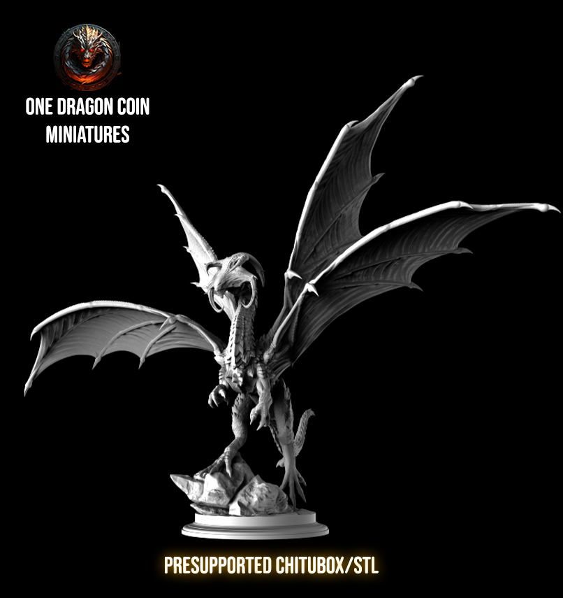 One Dragon Coin - Drakarion - DnD/TTRPG Figure/Miniature