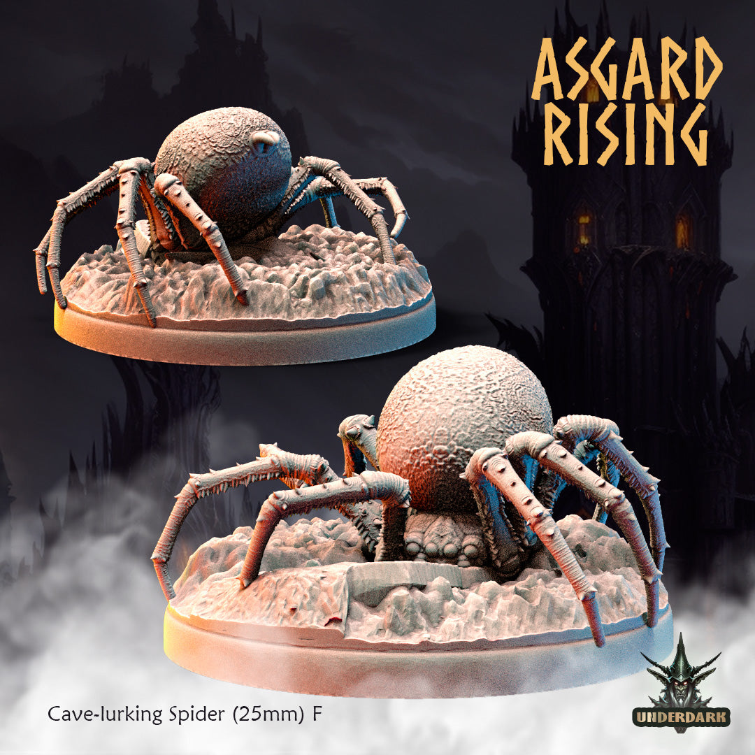 Asgard Rising - Underdark - Cave Spider #1 - DnD/TTRPG Figure/Miniature