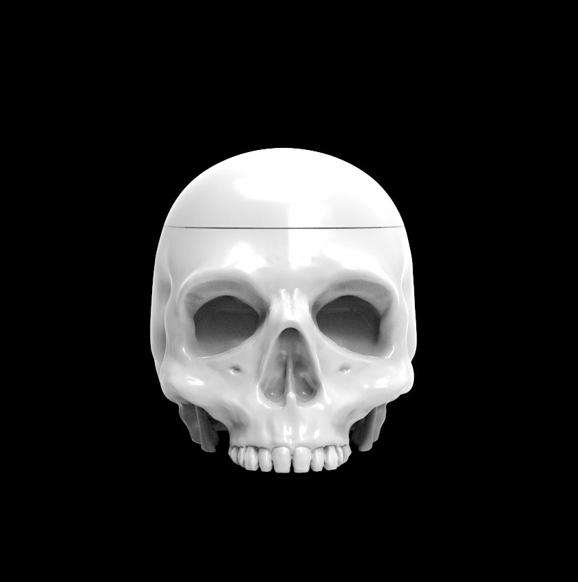 Possibly Cool Dice Box/Case - Skull - DnD/TTRPG/Roleplaying/Wargames