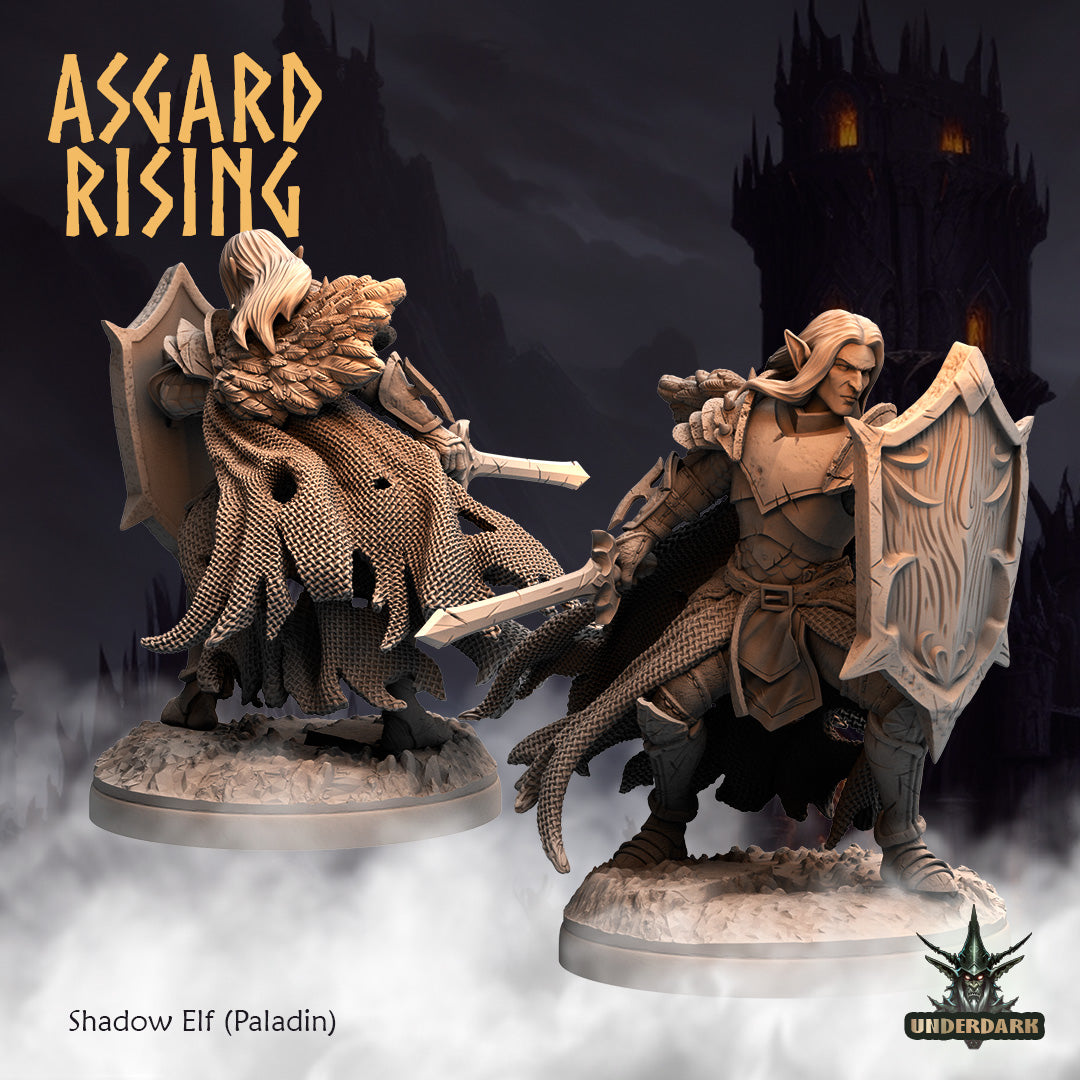 Asgard Rising - Underdark - Shadow Elf - DnD/TTRPG Figure/Miniature