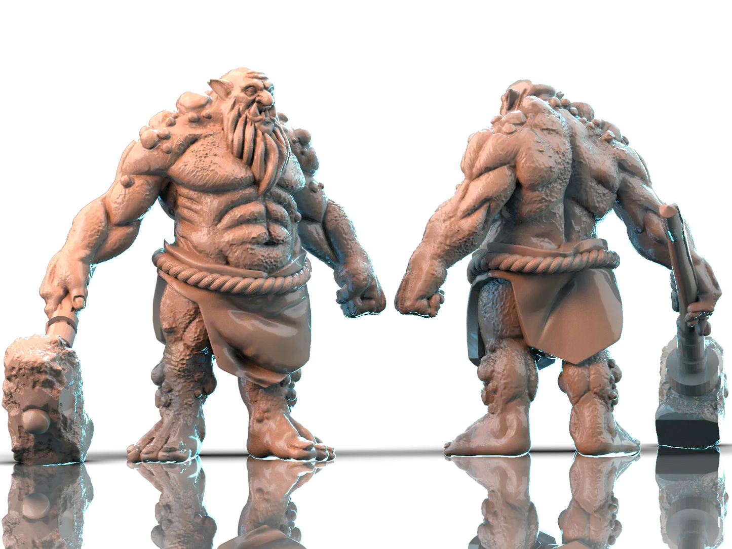 Brayan Nafarrate - Bestiary #1 - Troll - DnD/TTRPG Figure/Miniature