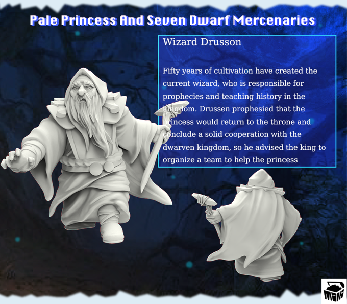 Minihoard - Princess & Dwarven Mercs - Wizard Drusson - DnD/TTRPG Figure/Miniature
