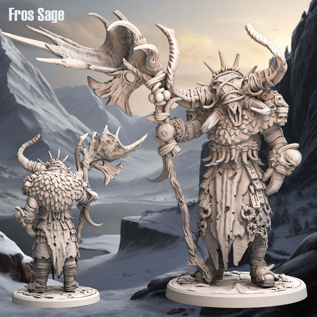 Monolith Arts - Arctic Tribes - Sage - DnD/TTRPG Figure/Miniature