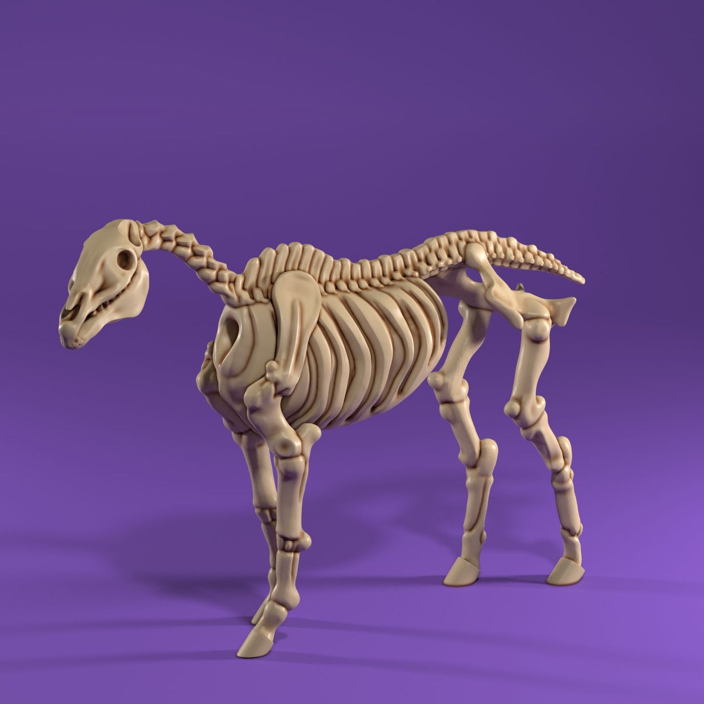 Medusa Miniatures - Skeleton Horse #2 - DnD/TTRPG/Roleplaying/Wargames