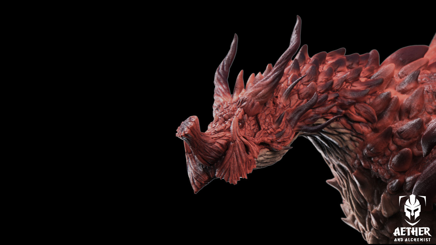 Aether & Alchemist - Ancient Magma Dragon - DnD/TTRPG Figure/Miniature - Helios3DPrinting
