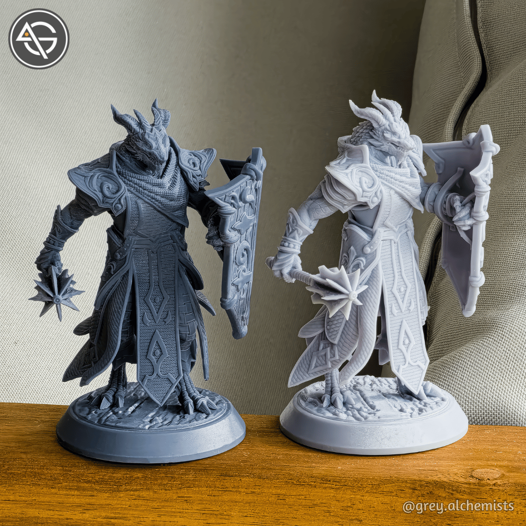 Grey Alchemists -  Dragonborn Paladin - 32mm/75mm DnD/Pathfinder/TTRPG Figure