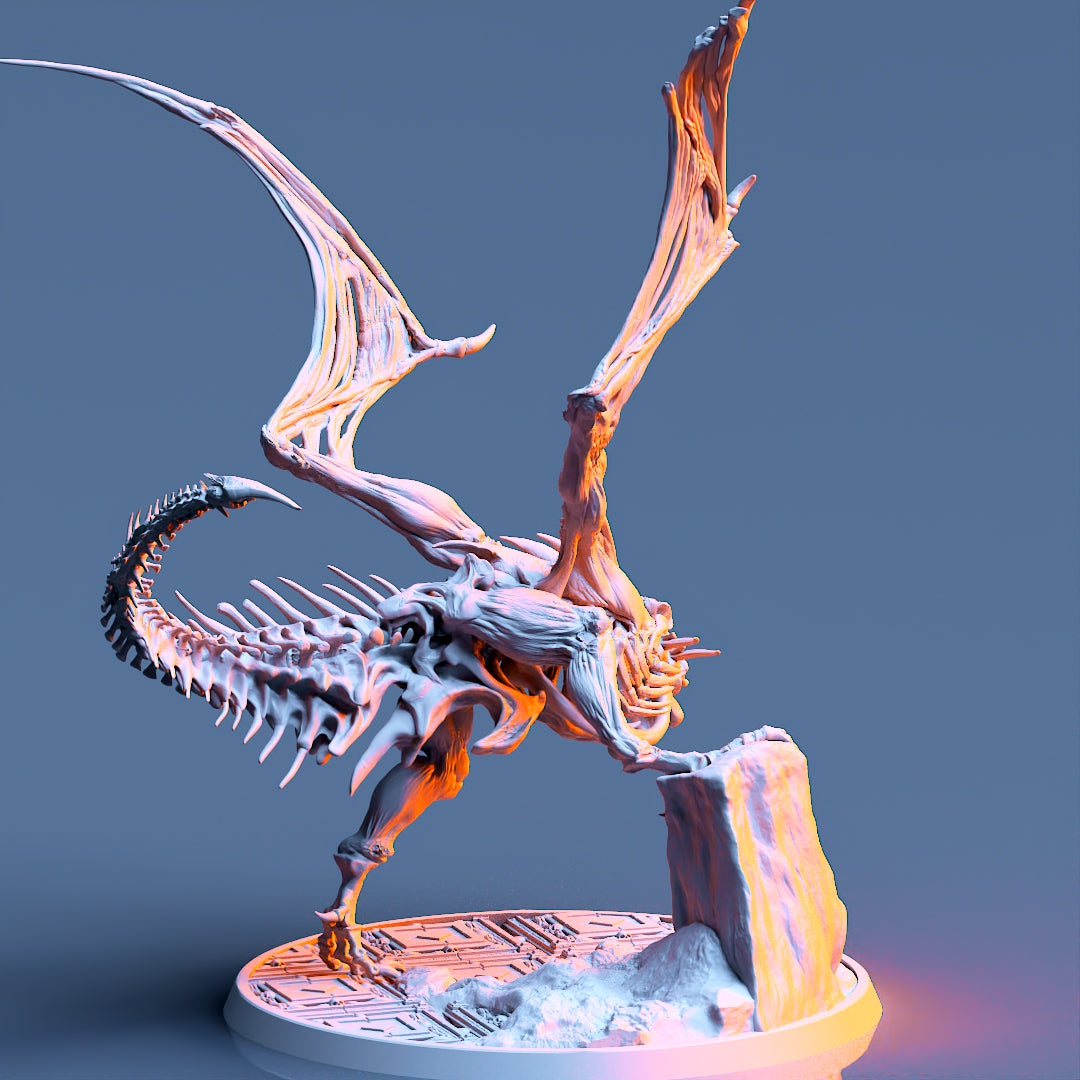 Printomancer - Undead Wyvern - DnD/TTRPG Figure/Miniature