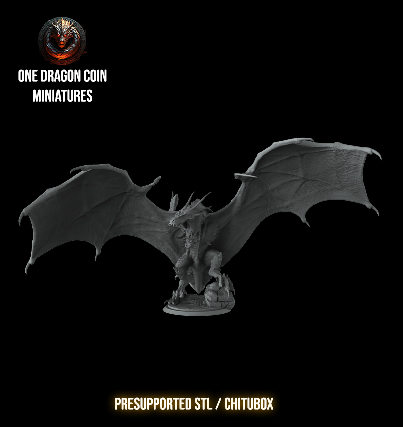 One Dragon Coin - Argoth - DnD/TTRPG Figure/Miniature