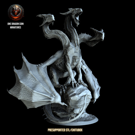 One Dragon Coin - Threexia - DnD/TTRPG Figure/Miniature