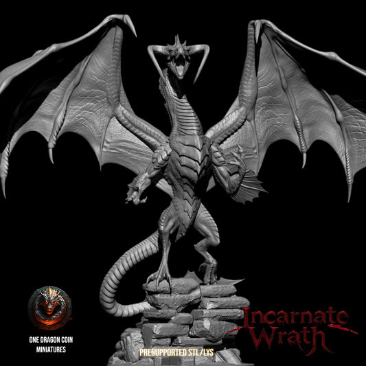 One Dragon Coin - Mordan - DnD/TTRPG Figure/Miniature