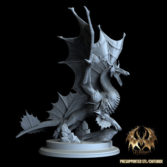 One Dragon Coin - Kinsorth - DnD/TTRPG Figure/Miniature