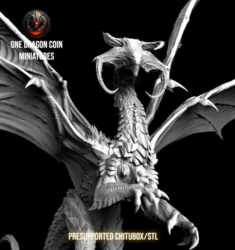One Dragon Coin - Drakarion - DnD/TTRPG Figure/Miniature