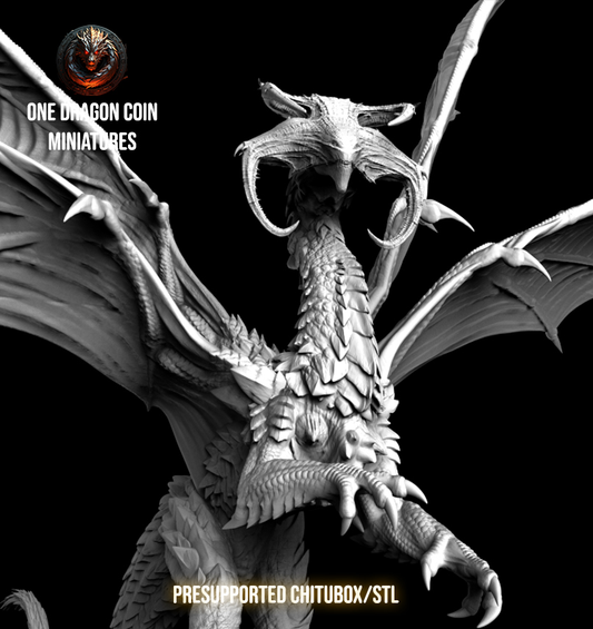 One Dragon Coin - Drakarion - DnD/TTRPG Figure/Miniature