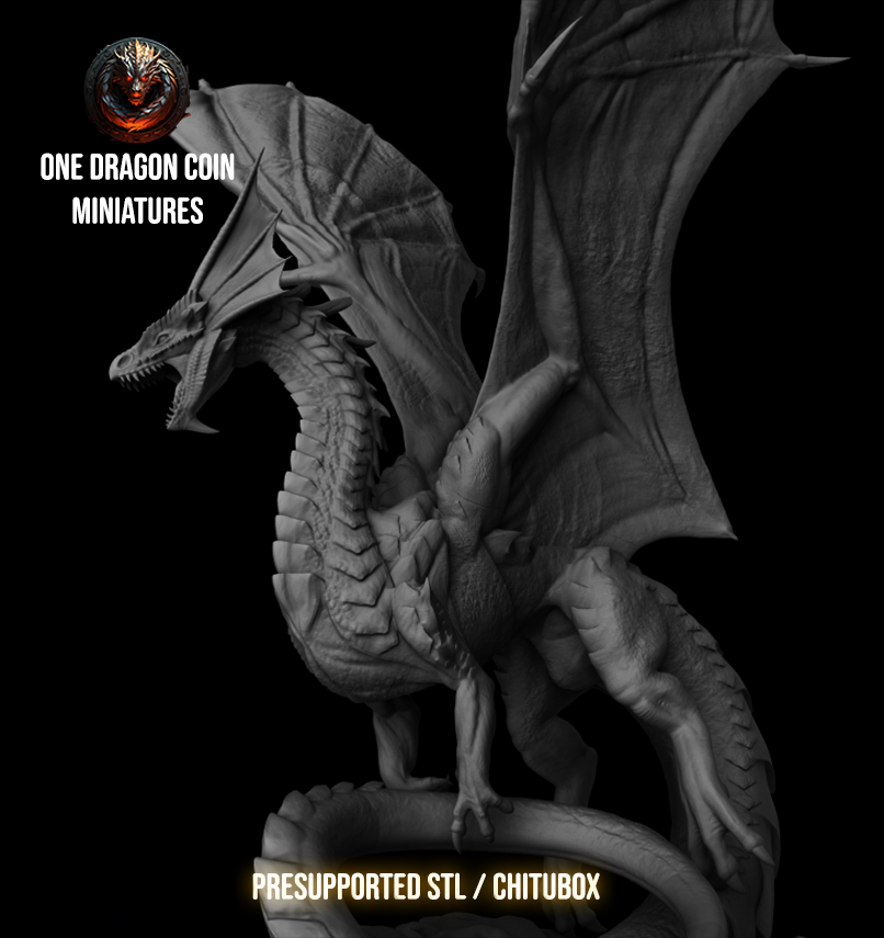 One Dragon Coin - Lyastra - DnD/TTRPG Figure/Miniature