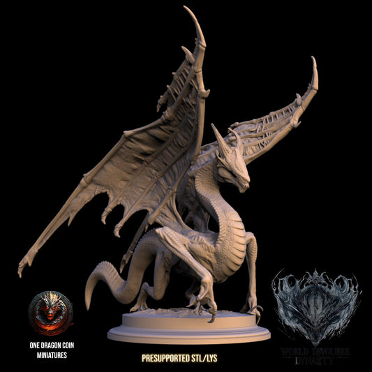 One Dragon Coin - Karedon - DnD/TTRPG Figure/Miniature
