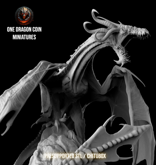 One Dragon Coin - Marvoth - DnD/TTRPG Figure/Miniature