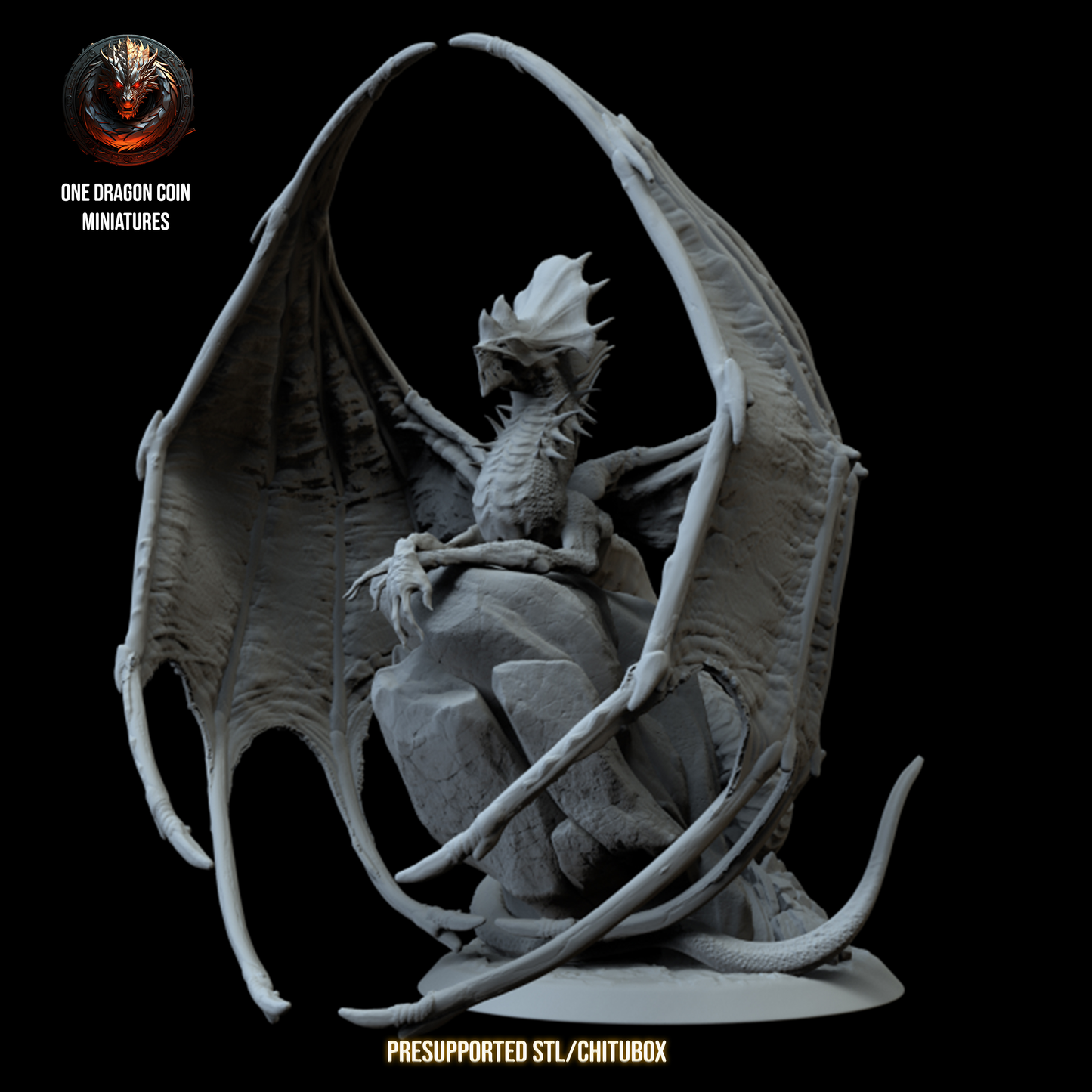 One Dragon Coin - Zyrki - DnD/TTRPG Figure/Miniature