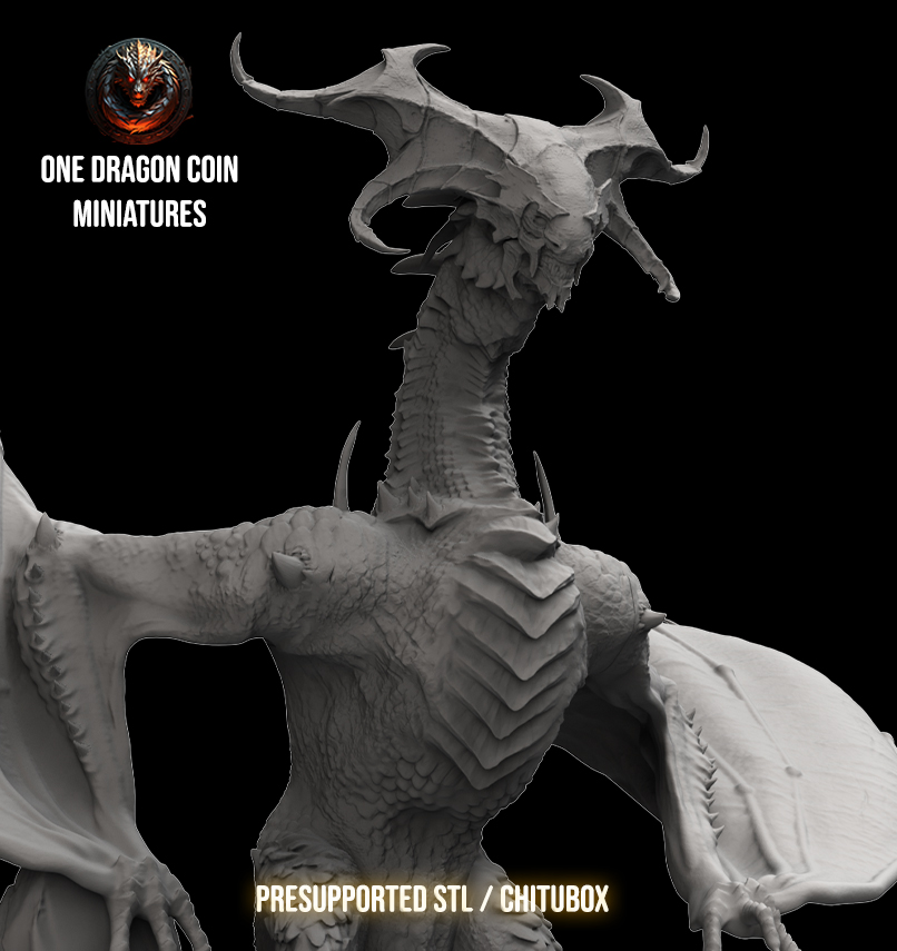 One Dragon Coin - Kerdamos - DnD/TTRPG Figure/Miniature