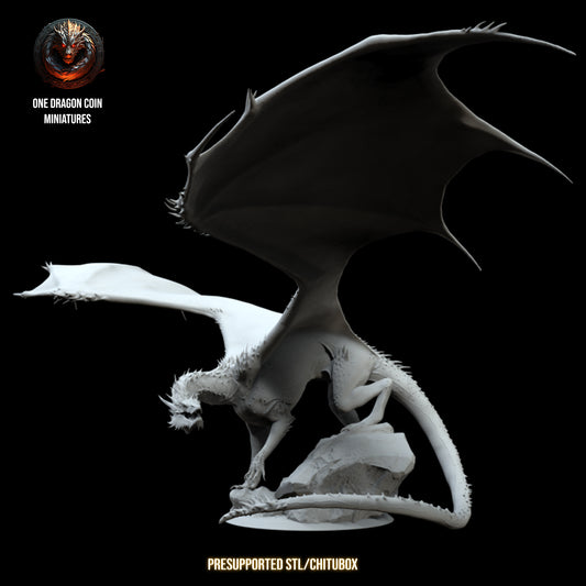 One Dragon Coin - Vorondax - DnD/TTRPG Figure/Miniature