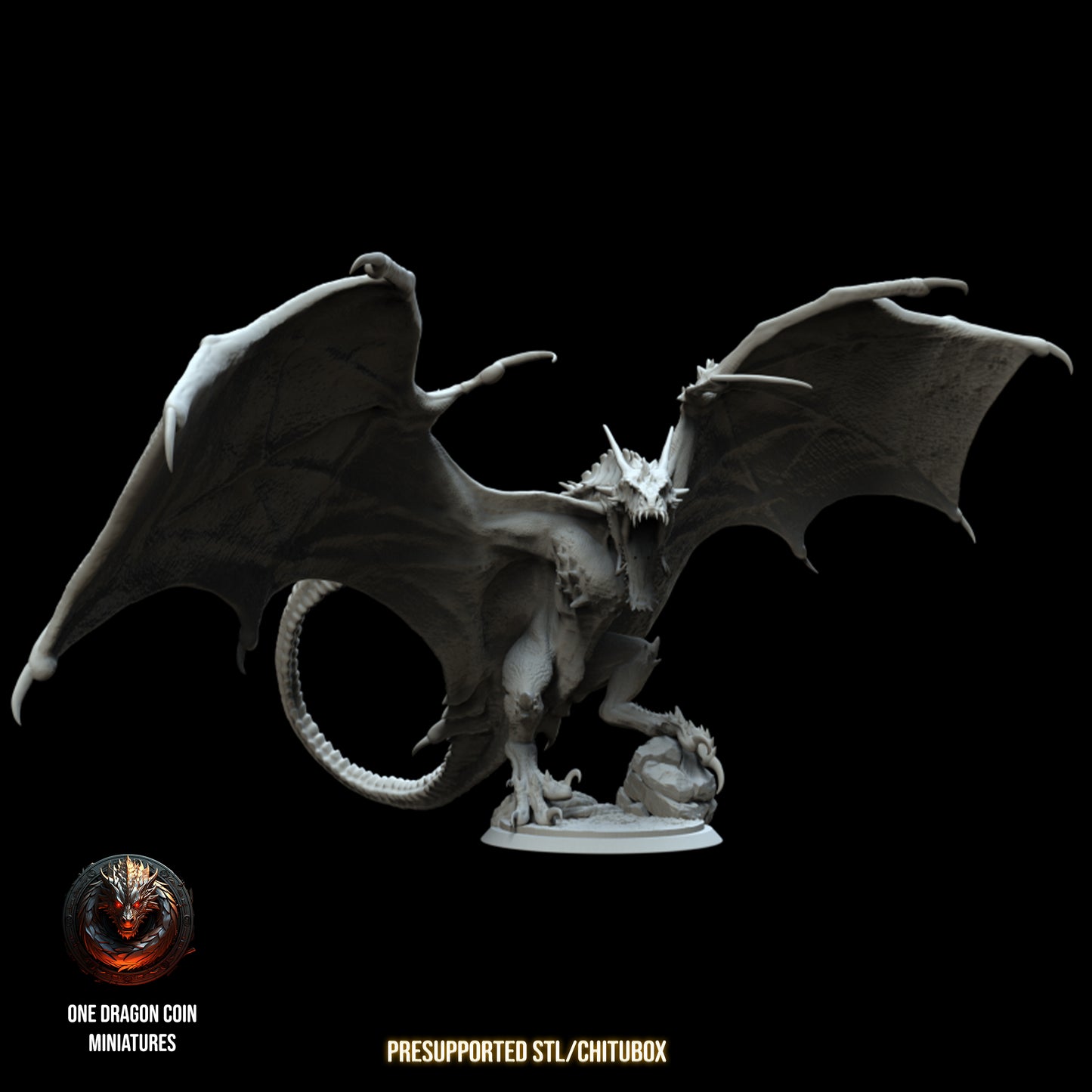 One Dragon Coin - Argoth - DnD/TTRPG Figure/Miniature