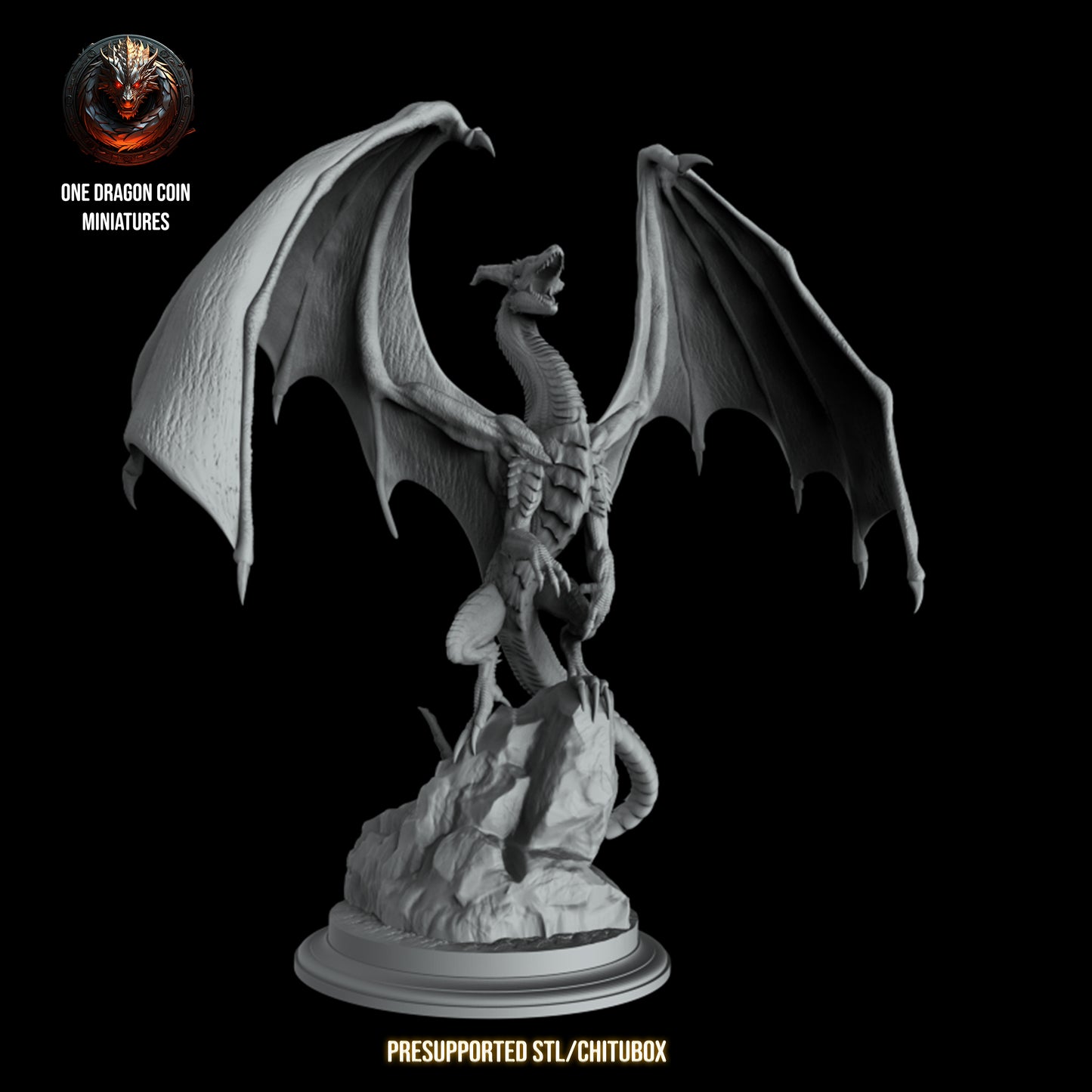 One Dragon Coin - Glordan - DnD/TTRPG Figure/Miniature