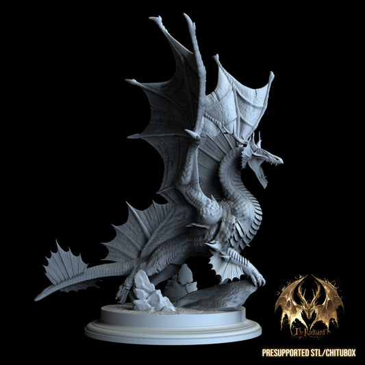 One Dragon Coin - Kinsorth - DnD/TTRPG Figure/Miniature