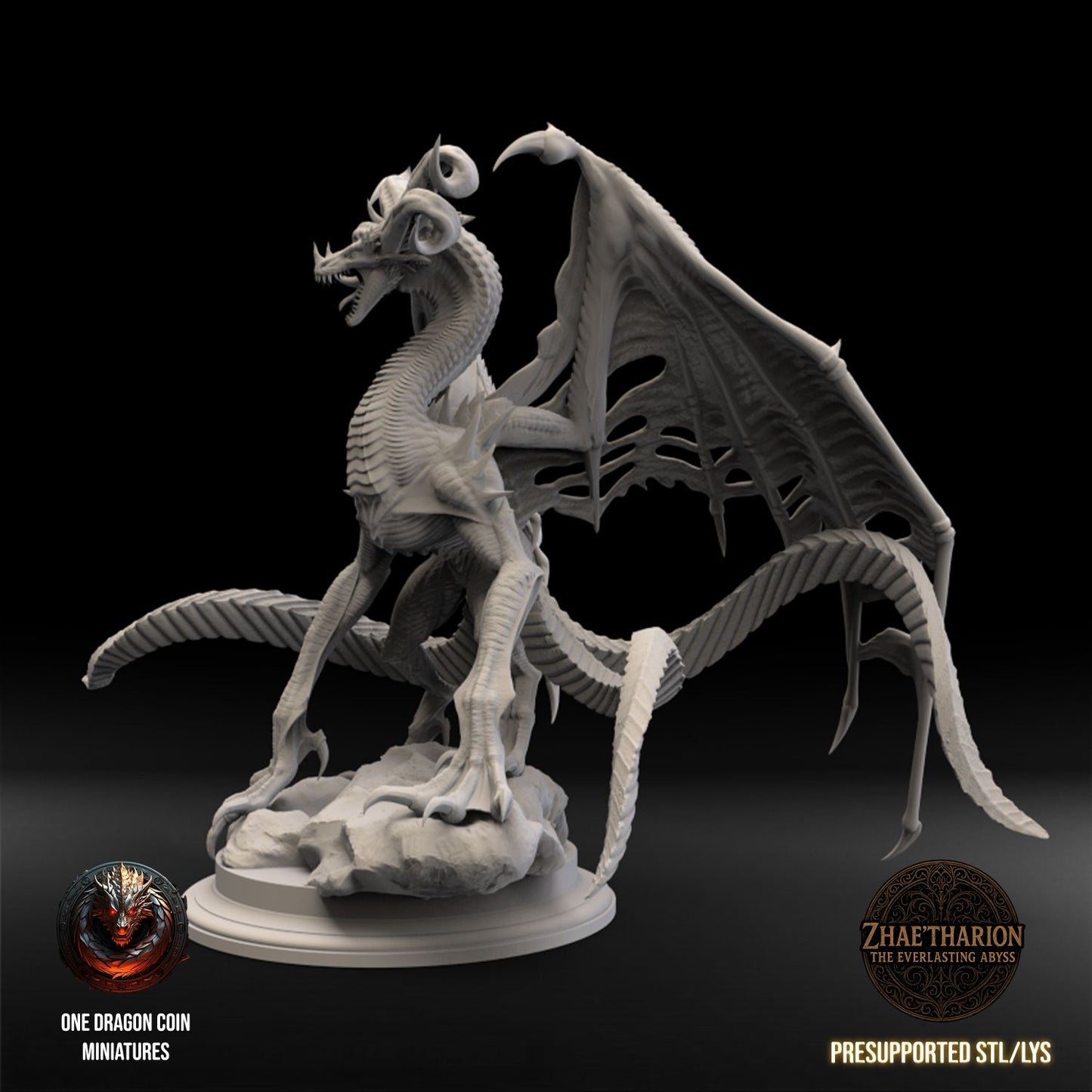 One Dragon Coin - Zhaetharion - DnD/TTRPG Figure/Miniature