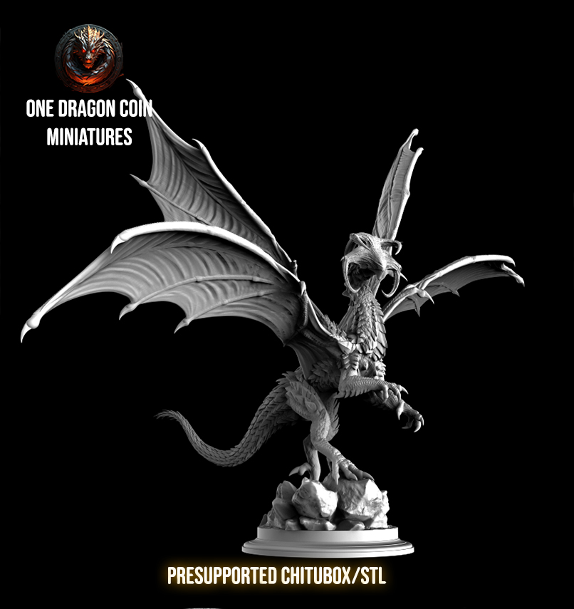 One Dragon Coin - Drakarion - DnD/TTRPG Figure/Miniature