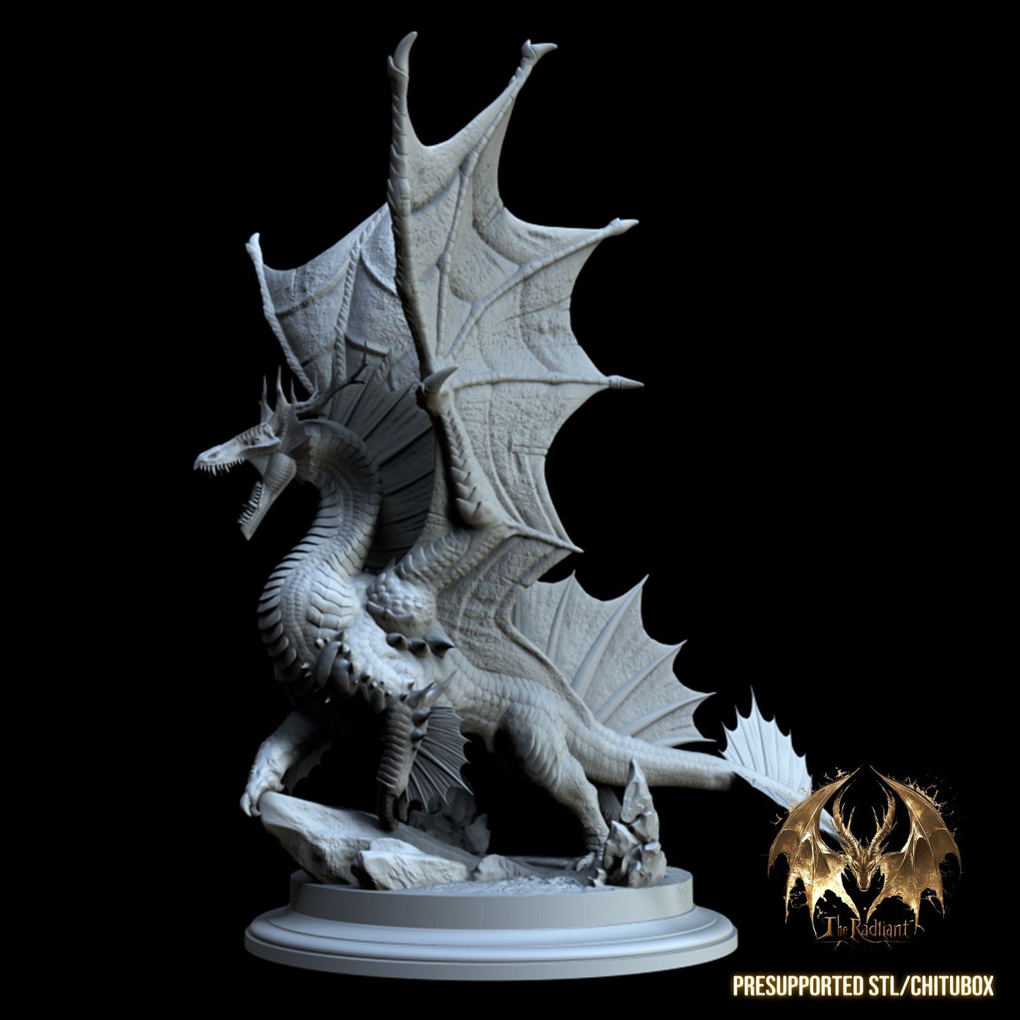 One Dragon Coin - Kinsorth - DnD/TTRPG Figure/Miniature
