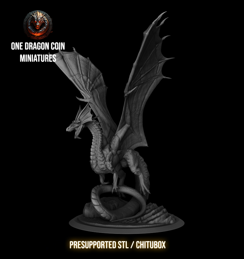 One Dragon Coin - Lyastra - DnD/TTRPG Figure/Miniature