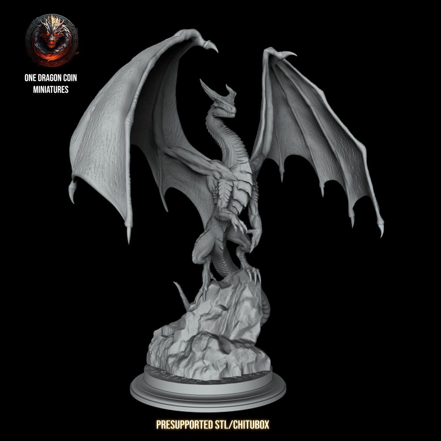 One Dragon Coin - Glordan - DnD/TTRPG Figure/Miniature