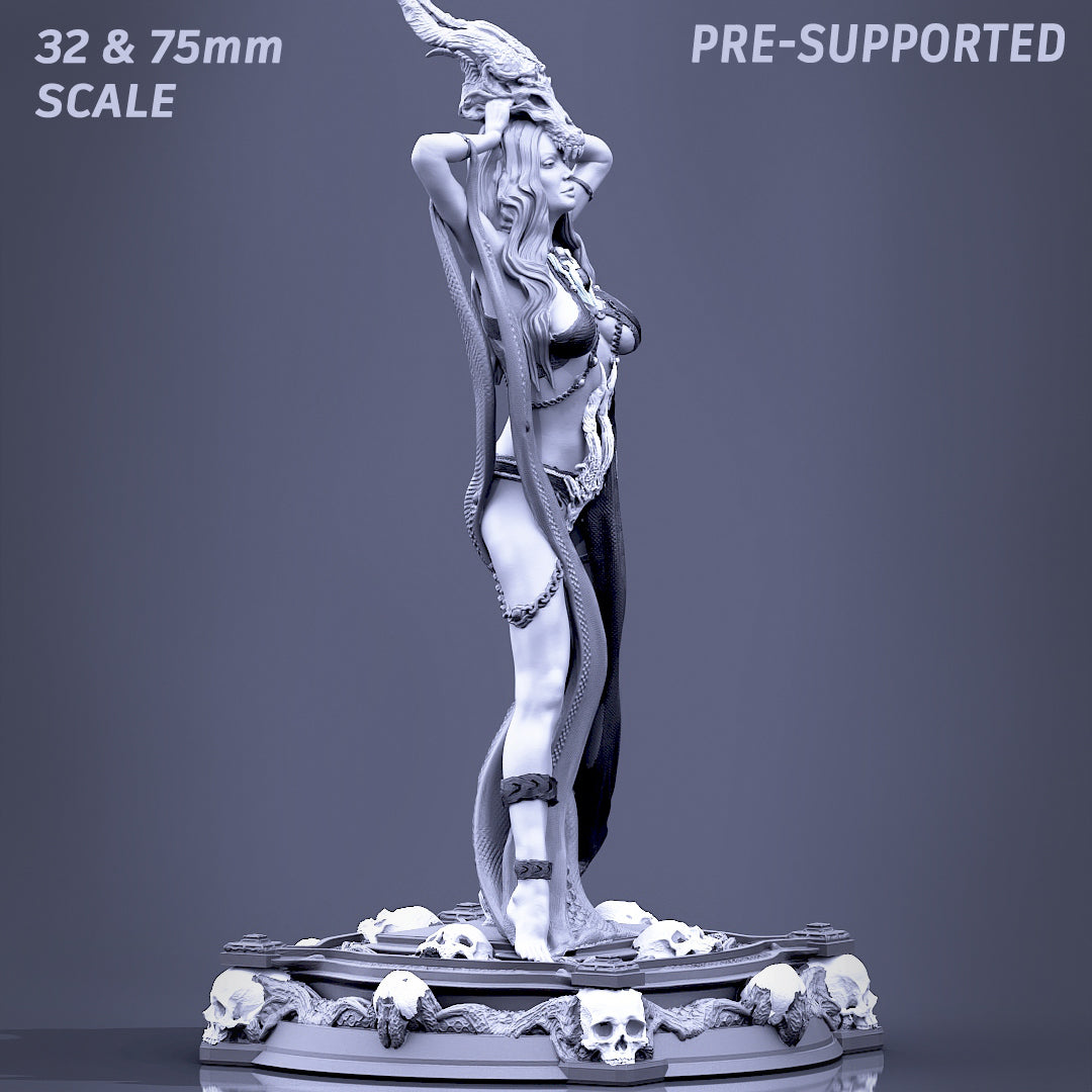 Printomancer - Boneflesh Necromancer - 32/75mm Pin Up/Figure/Model/Diorama