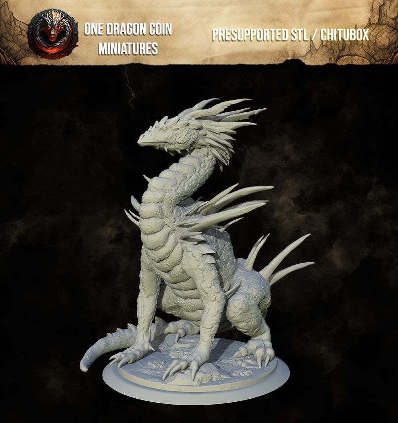 One Dragon Coin - Naganth - DnD/TTRPG Figure/Miniature