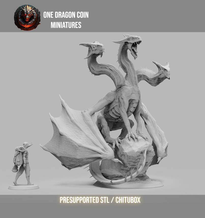 One Dragon Coin - Threexia - DnD/TTRPG Figure/Miniature