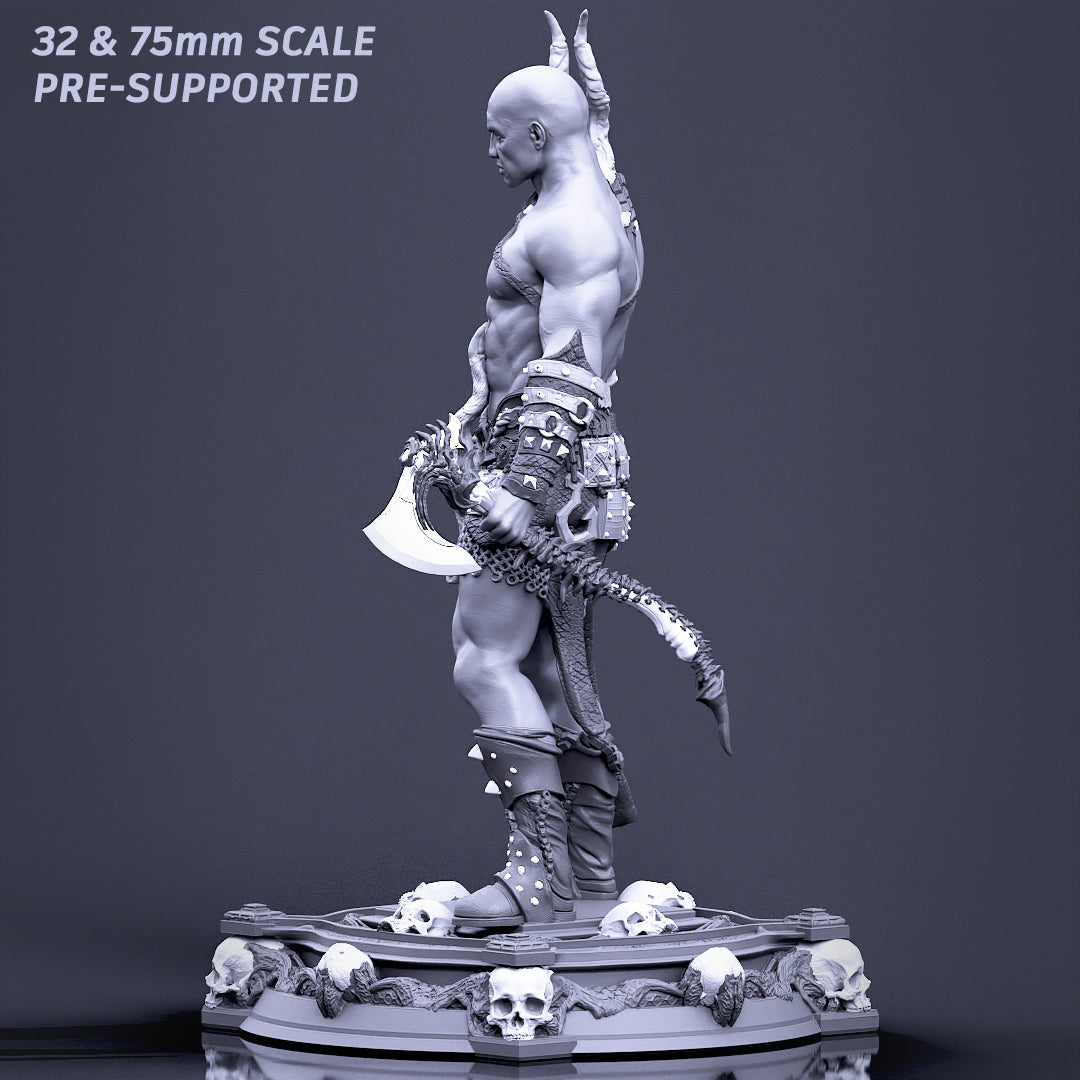 Printomancer - Dragon Warrior - 32/75mm Pin Up/Figure/Model/Diorama