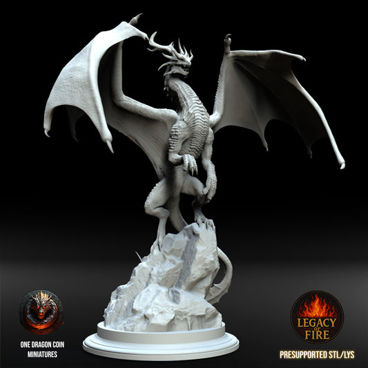 One Dragon Coin - Vardask #2 - DnD/TTRPG Figure/Miniature