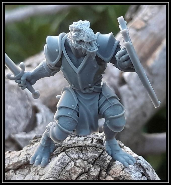 STL - Dragonborn Fighter - DnD/TTRPG Figure/Miniature