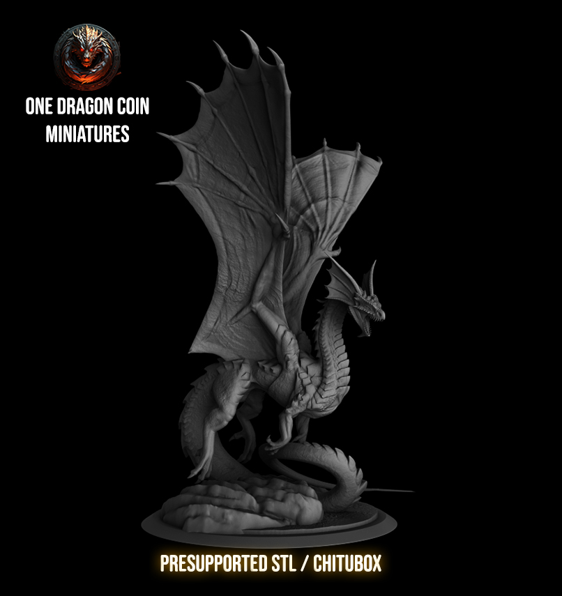 One Dragon Coin - Lyastra - DnD/TTRPG Figure/Miniature