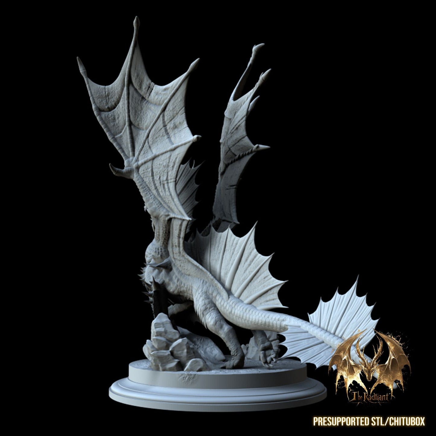One Dragon Coin - Kinsorth - DnD/TTRPG Figure/Miniature