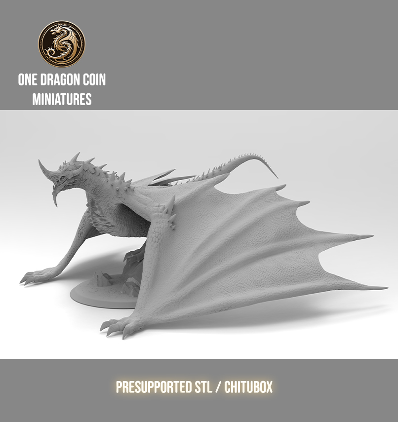 One Dragon Coin - Scaledur #1 - DnD/TTRPG Figure/Miniature
