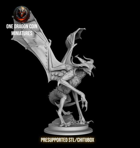 One Dragon Coin - Xalthor - DnD/TTRPG Figure/Miniature