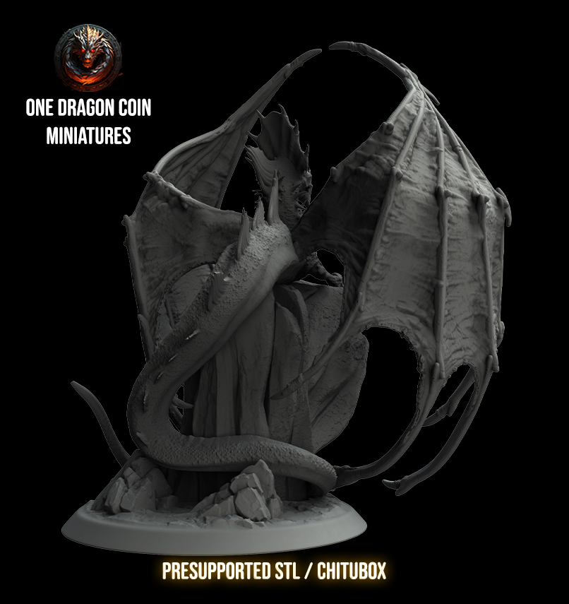 One Dragon Coin - Zyrki - DnD/TTRPG Figure/Miniature