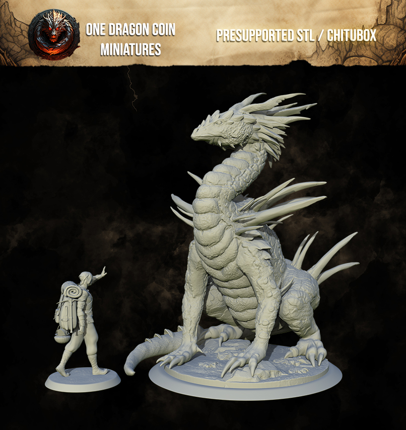 One Dragon Coin - Naganth - DnD/TTRPG Figure/Miniature