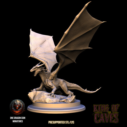 One Dragon Coin - Deepthorn #2 - DnD/TTRPG Figure/Miniature