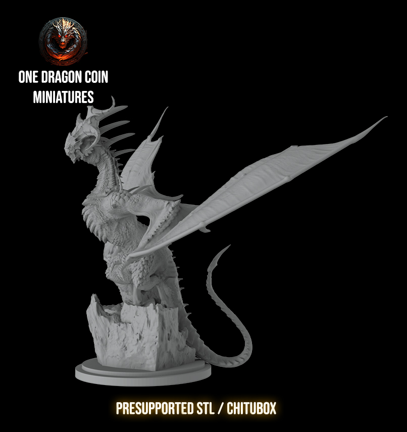 One Dragon Coin - Kerdamos - DnD/TTRPG Figure/Miniature