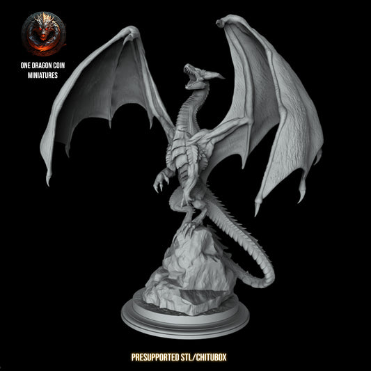 One Dragon Coin - Glordan - DnD/TTRPG Figure/Miniature