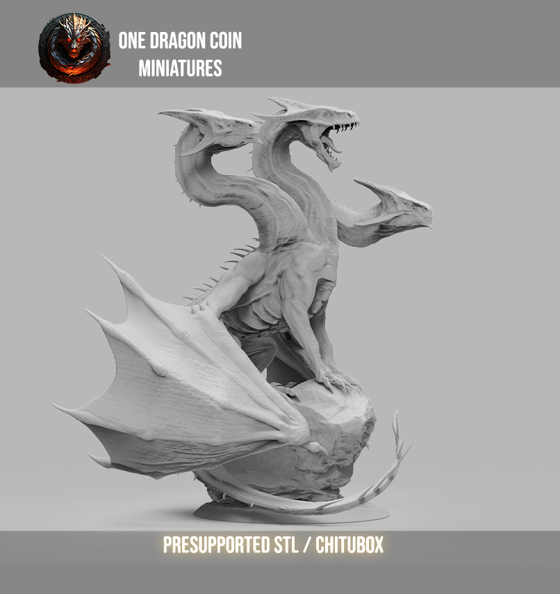One Dragon Coin - Threexia - DnD/TTRPG Figure/Miniature