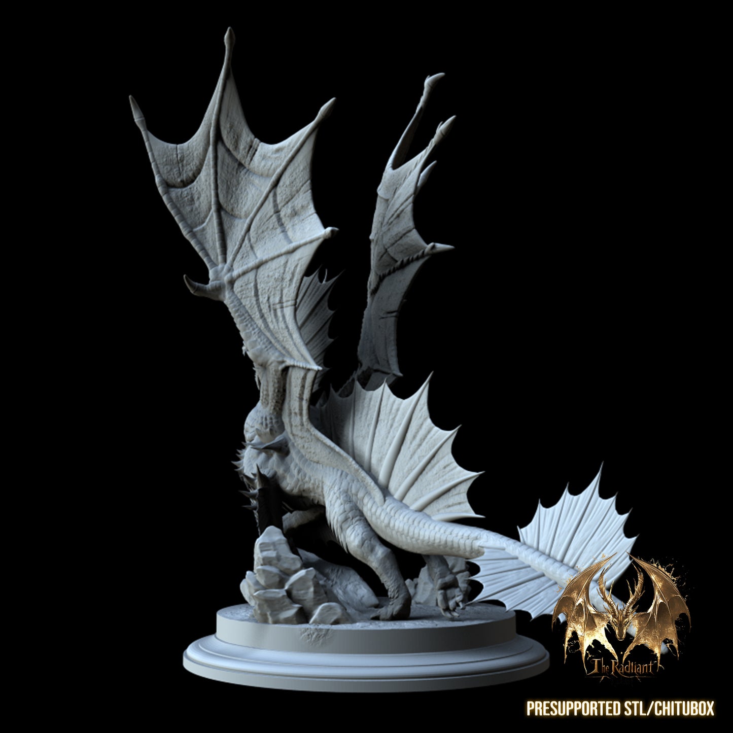 One Dragon Coin - Kinsorth - DnD/TTRPG Figure/Miniature