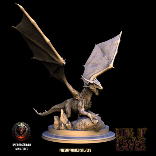 One Dragon Coin - Deepthorn #2 - DnD/TTRPG Figure/Miniature